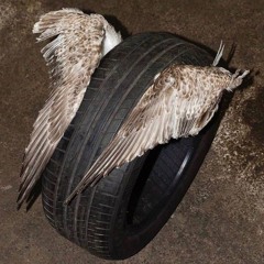 ㅤ@АЛЕКСАНДРЕМЕЛЯ V