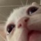 omegallama