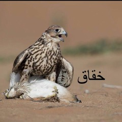 عماد ال جاويش