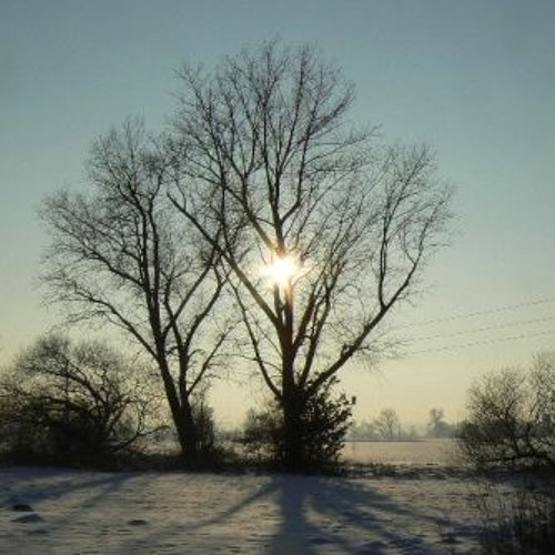 No Doubt(Orchid Beat Contest)