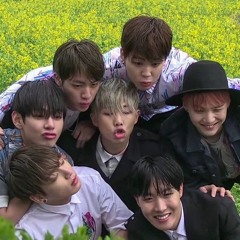 Euphoria⋆.˚𝄞. ࣪˖ ִ𐀔•