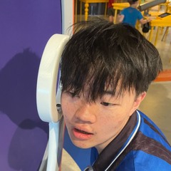 DimSum