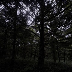 ひみこ