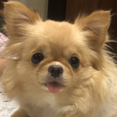 tosi