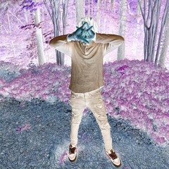 Richpesotae