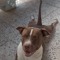 Reyito _aa