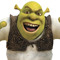 Shreky Boi