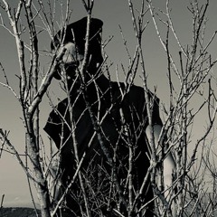 Giacomo Della Torre "ilBurgue"