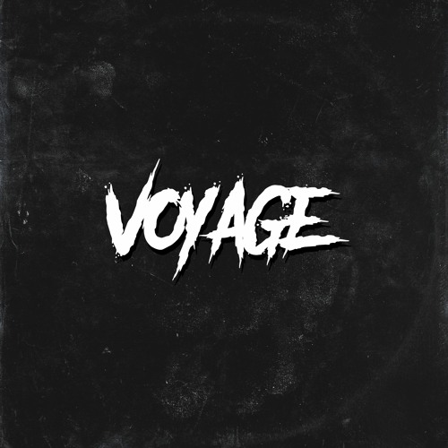 Voyage’s avatar