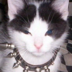 Jasper