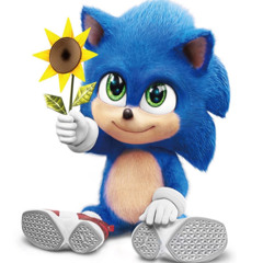 Sonic Racer