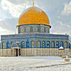 بَسْمَة مُصْطَفَى حِبَارة
