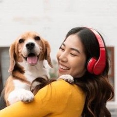 TrueLoveMusic