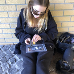 fAscHinG