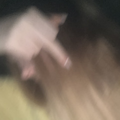 ssagglin9
