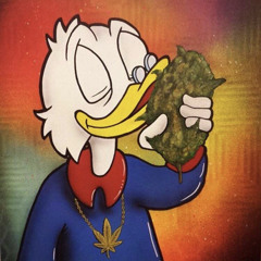 paperplanes
