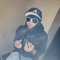 Qvamp Wasabii