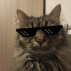 Василь Кицька