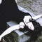 ‏hovampire