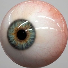 BLINDSPOT