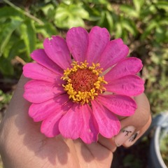 menos brillo que piso de tierra