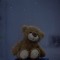 teddybear5742