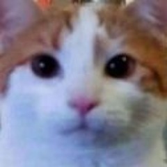 marcusrobot_