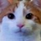 marcusrobot_