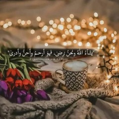 لورد الجنوب