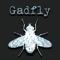 Gadfly