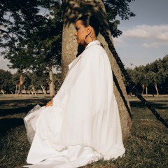 dina elwedidi