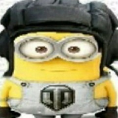 zmlsag