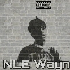 NLE Wayne