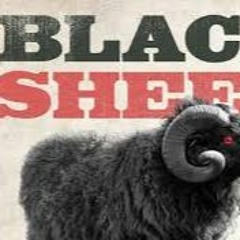 #BLVCKSHEEP