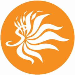 Sunnking