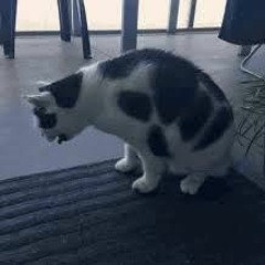 Tokage - Entice (feat. GINOZA)