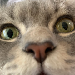 abdullah