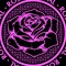 ROSA FESTIVAL