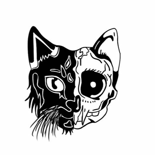 Schrödinger's Cat’s avatar