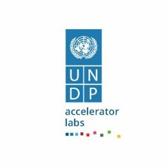 UNDP Accelerator Labs