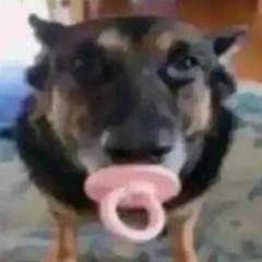 ⚠️ C A U S 1 O N | $ T X L A S ⚠️