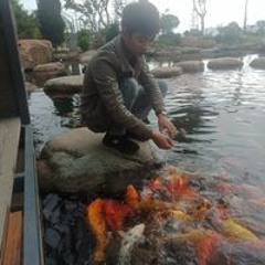 Nông Đức Hinh