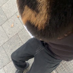 seanlcn