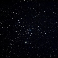 Medusa by john michael howell