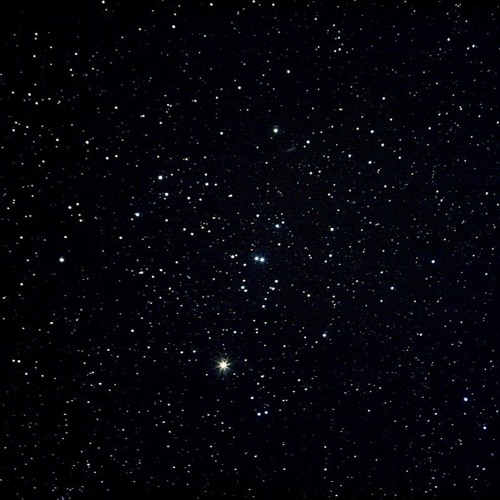 Medusa by john michael howell