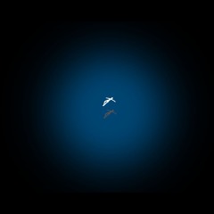 A Deep Space™ Hypnotic Reprogramming & Breathwork