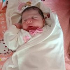 Sayed Teka