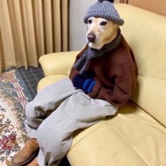 carCrash Application