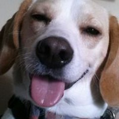 Michele Kurucz Churilla