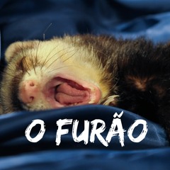 O Furão Podcast